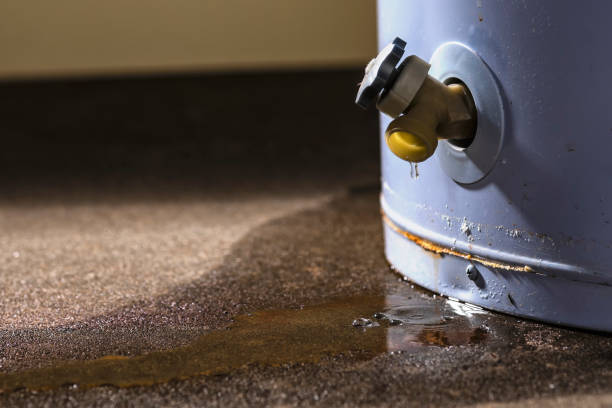 Best Ceiling water damage repair  in Hoxie, KS