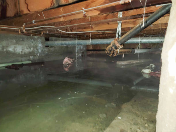 Best Basement water damage restoration  in Hoxie, KS