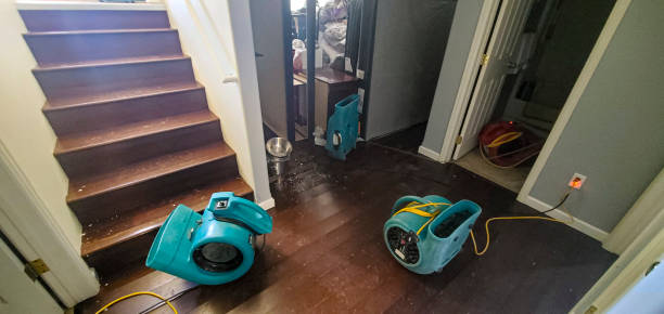 Best Water damage restoration company  in Hoxie, KS