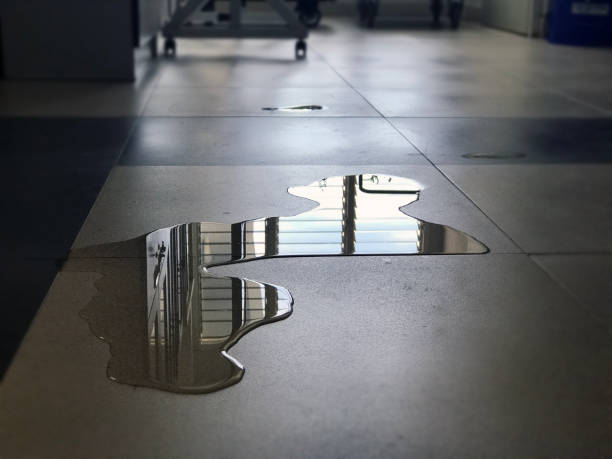 Best 24/7 water damage repair  in Hoxie, KS