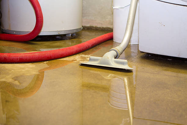 Best Fire Damage Restoration  in Hoxie, KS