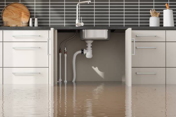 Best Professional water damage repair  in Hoxie, KS