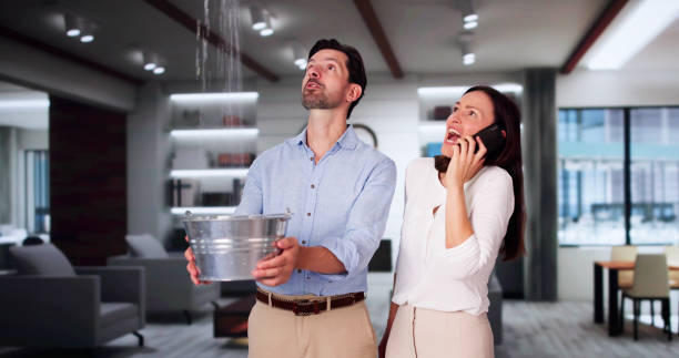 Best Flood damage cleanup  in Hoxie, KS